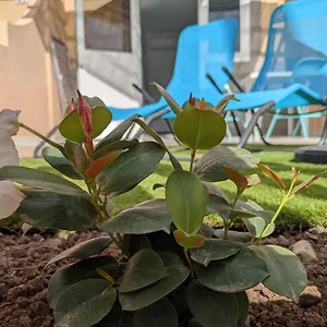  Apartamento Oceano Mare - Tu Casa En Maspalomas España